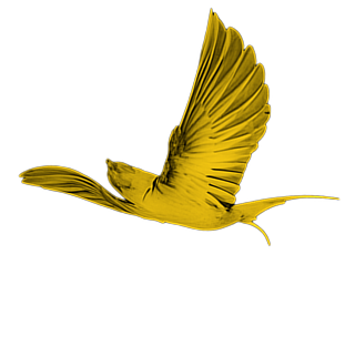 Bird 1